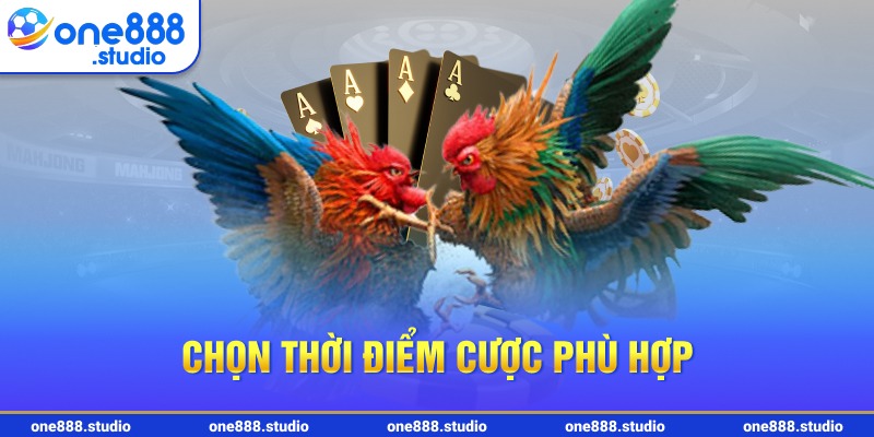 Chọn thời điểm cược phù hợp