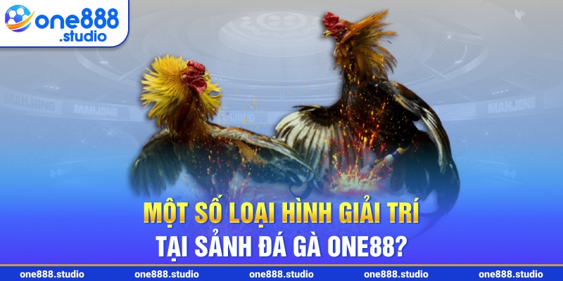 Một số loại hình giải trí tại sảnh đá gà One88?