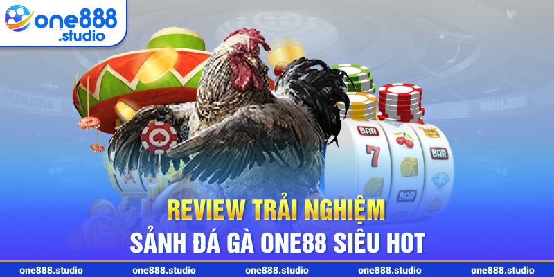 Review trải nghiệm sảnh đá gà One88 siêu HOT